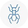 Ant Removals In Waterloo