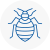 Bed Bug Extermination In Waterloo