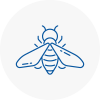 Bee Nest Removal Waterloo