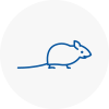 Mice Exterminators In Waterloo