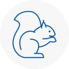Waterloo Rodent Removals