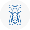 Waterloo Wasp Nest Removal